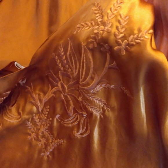 Victoria Secret 🍁100% Silk Slips 🍁size L - Picture 5 of 12